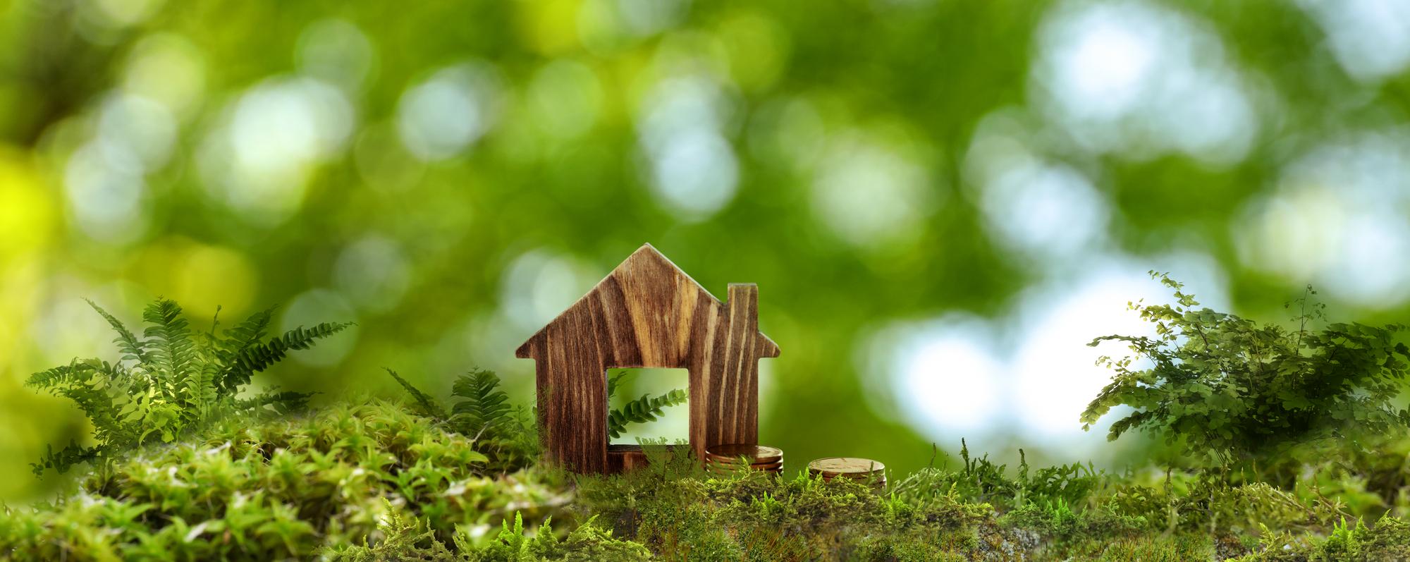 eco-friendly home buyer tips with renewable energy and sustainable materials
