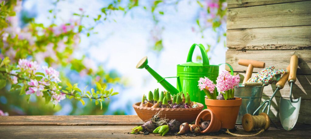 Best gardening tools for your new home. Gardening tools and spring flowers on the terrace in the garden