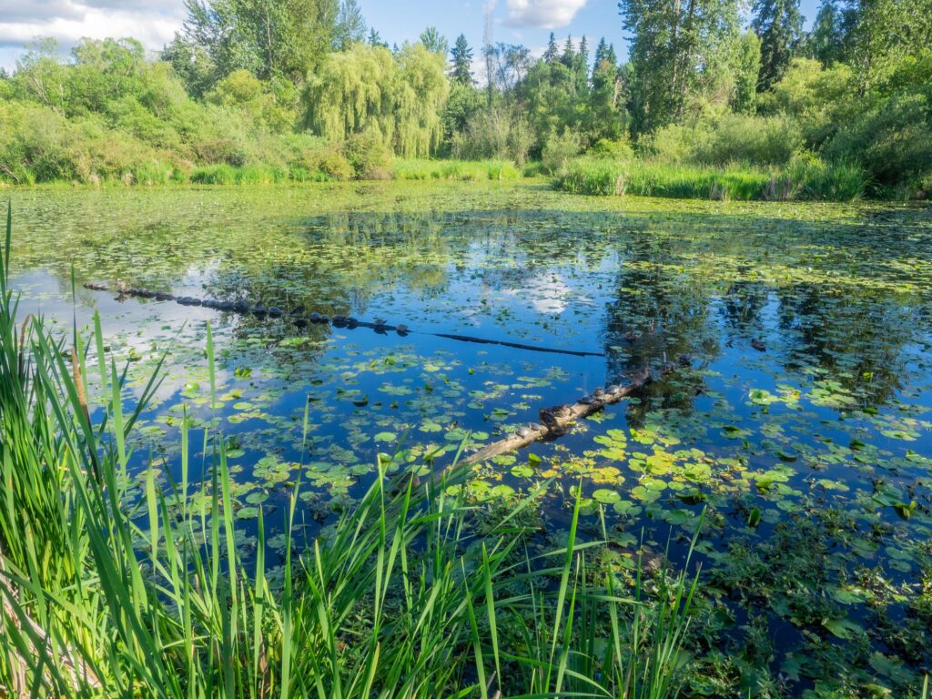 Juanita Bay Park, Washington