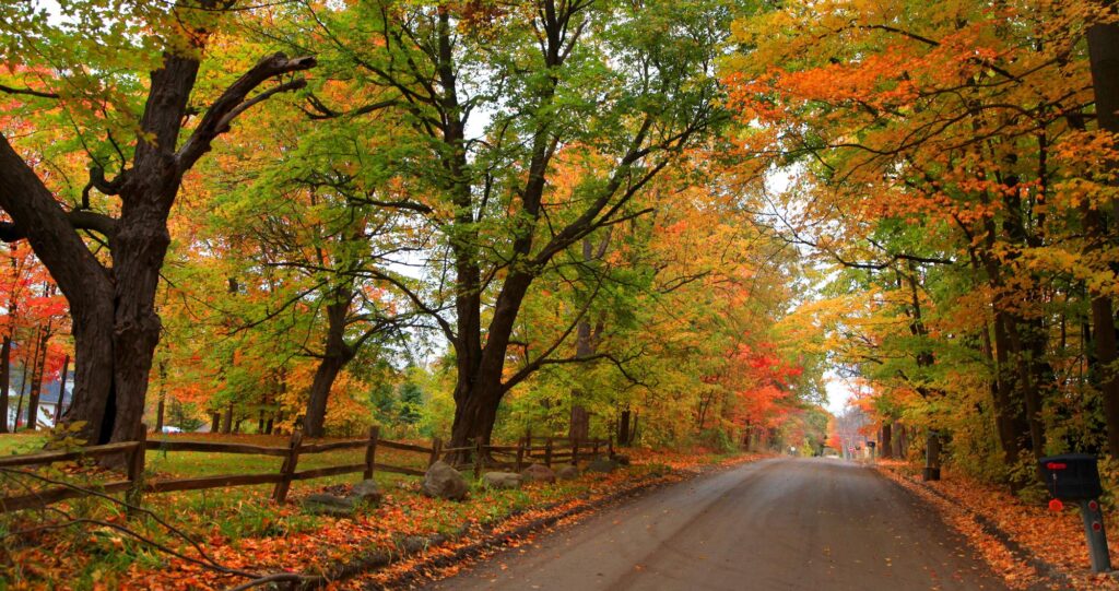 autumn colors in ipacific northwest