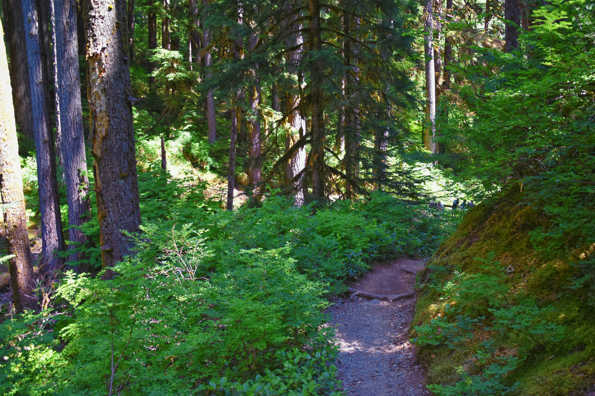 Bothell Washington trailhead