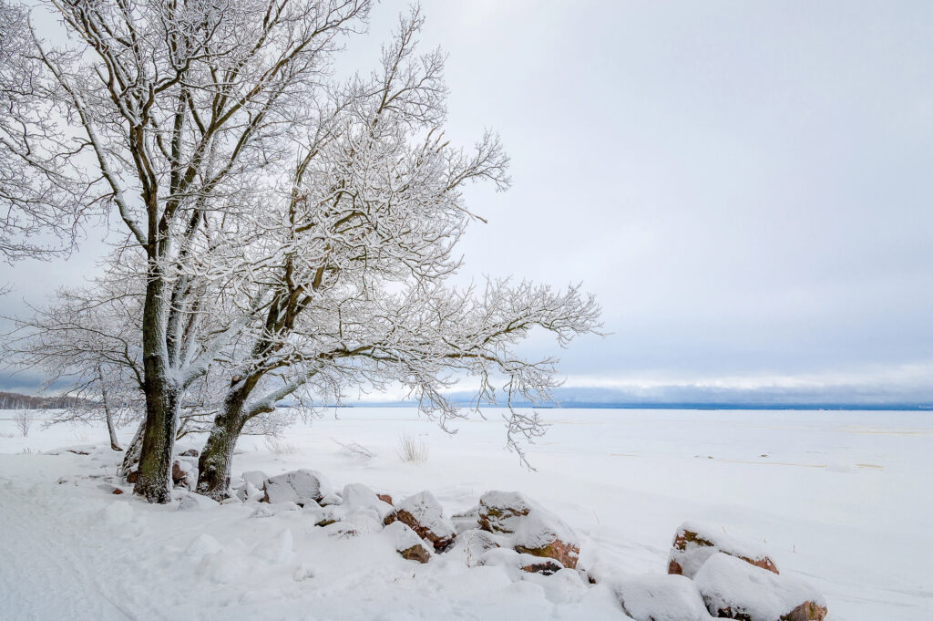 Winter in Kirkland washington